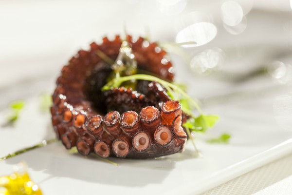 luksuz-sa-pogledom-na-smaragdno-more