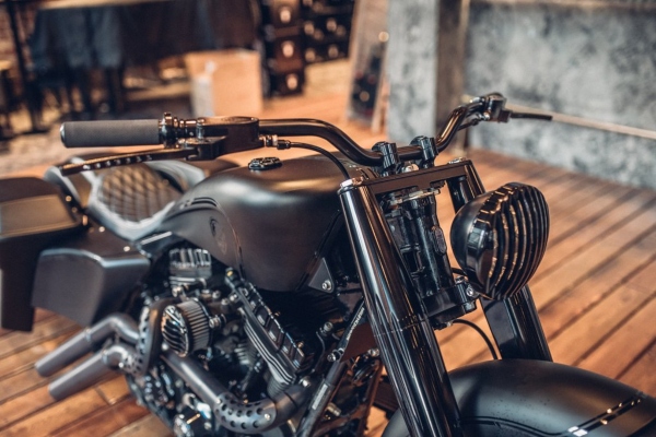 Impozantni Harley Davidson Bagger motor