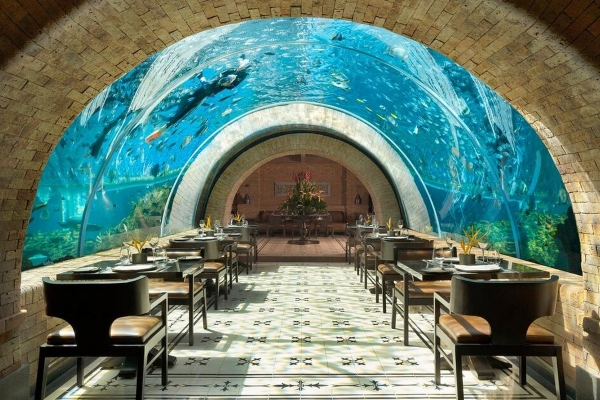 Zavirite u Koral - najlepši restoran sveta