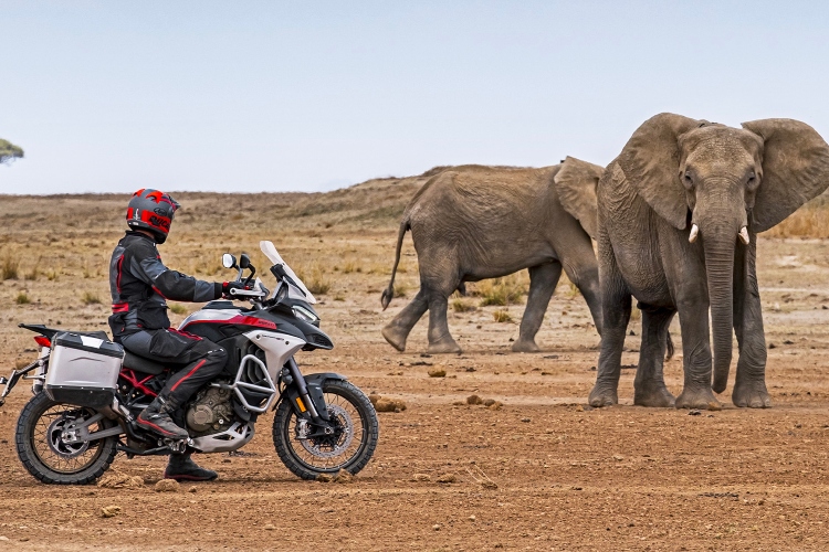 ducati-multistrada-v4-rally-5