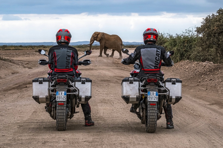 ducati-multistrada-v4-rally-6