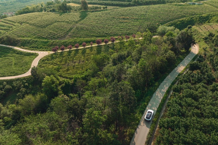 automobil-pura-vision-9