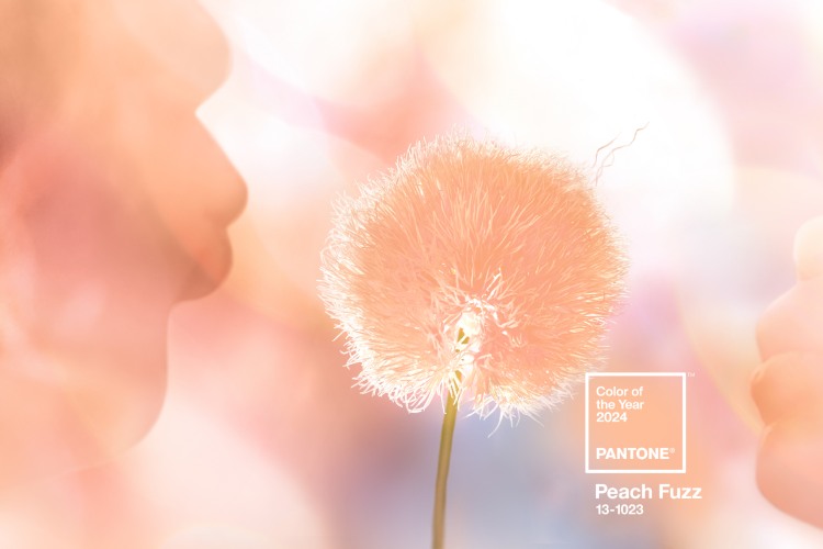 peach-fuzz-pantone-institut-1