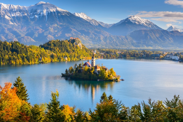 23-bled