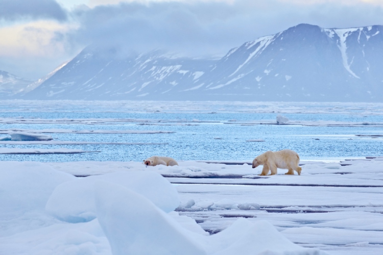 svalbard-otkrivanje-luksuznog-raja-na-zaledenom-severu-7