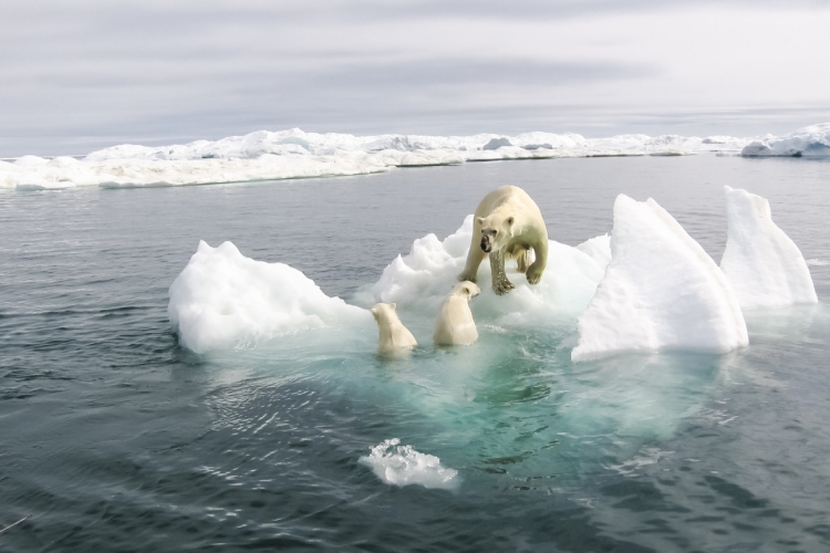 svalbard-otkrivanje-luksuznog-raja-na-zaledenom-severu-11