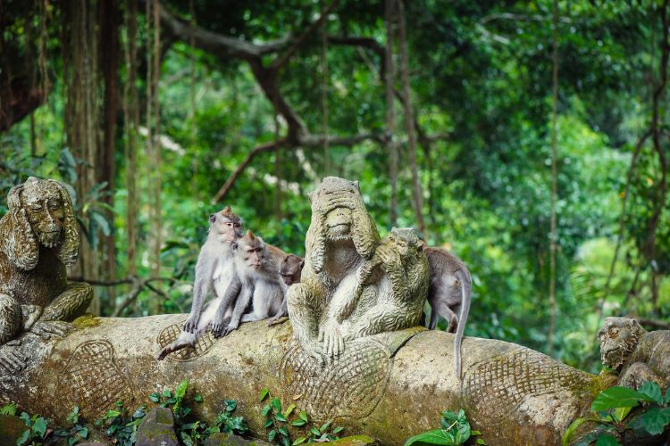 ubud-zeleni-dragulj-indonezije-3