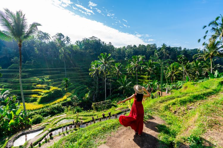 ubud-zeleni-dragulj-indonezije-18