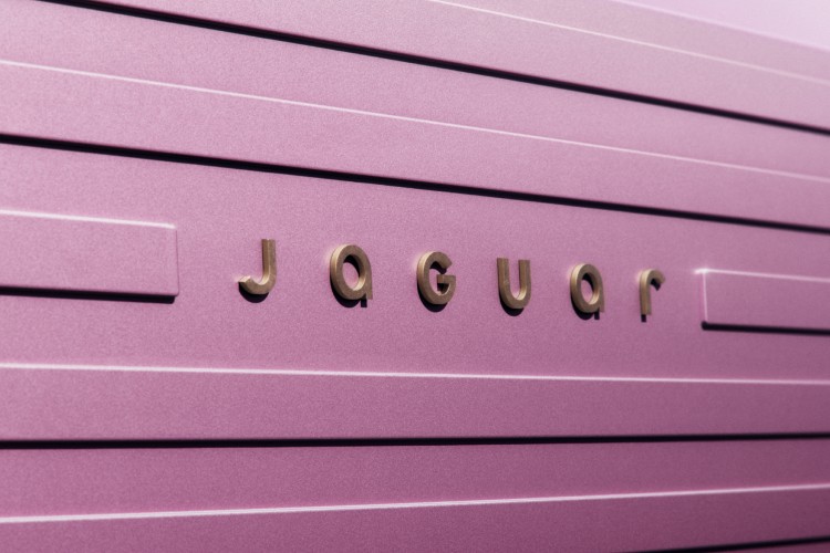 jaguar-11