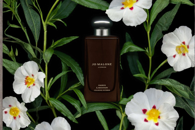 amber-labdanum-jo-malone-london-i-zlatni-sjaj-andaluzije-1