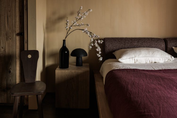 od-biljke-do-palete-prirodne-boje-marijen-tigen-u-chalet-cocagne-6