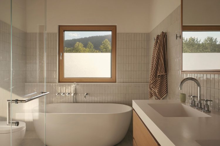 savremeni-pogled-na-zivot-pored-jezera-11