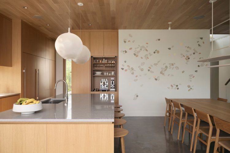 savremeni-pogled-na-zivot-pored-jezera-13