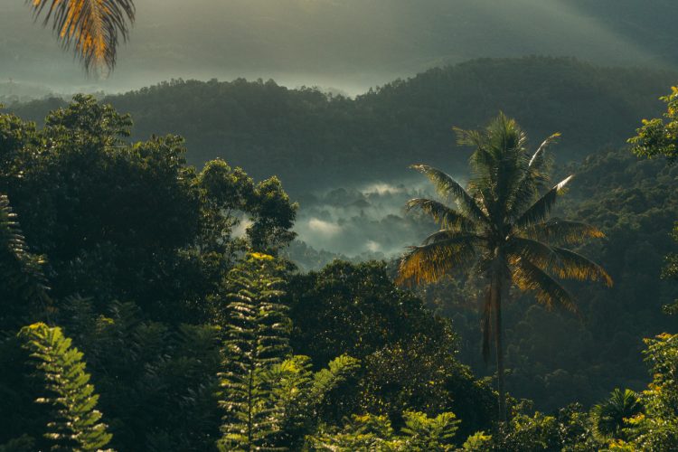 aahaasa-collection-redefinisanje-luksuza-kroz-pejzaze-kulturu-i-duh-sri-lanke-2