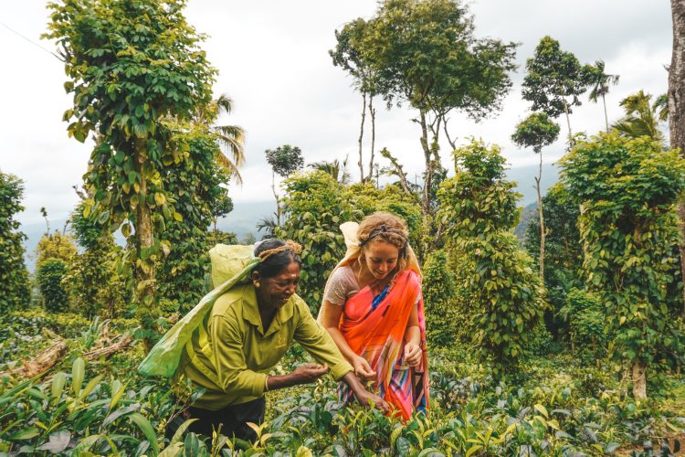 aahaasa-collection-redefinisanje-luksuza-kroz-pejzaze-kulturu-i-duh-sri-lanke-14