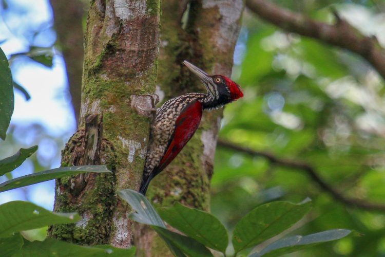 aahaasa-collection-redefinisanje-luksuza-kroz-pejzaze-kulturu-i-duh-sri-lanke-18