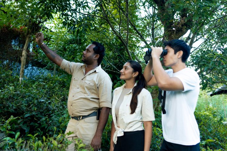 aahaasa-collection-redefinisanje-luksuza-kroz-pejzaze-kulturu-i-duh-sri-lanke-28