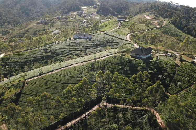 aahaasa-collection-redefinisanje-luksuza-kroz-pejzaze-kulturu-i-duh-sri-lanke-38