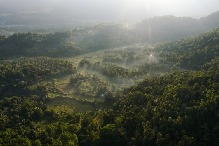 aahaasa-collection-redefinisanje-luksuza-kroz-pejzaze-kulturu-i-duh-sri-lanke-52