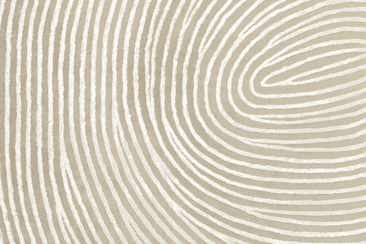 bele-nijanse-luksuza-white-soul-kolekcija-carpet-edition-9