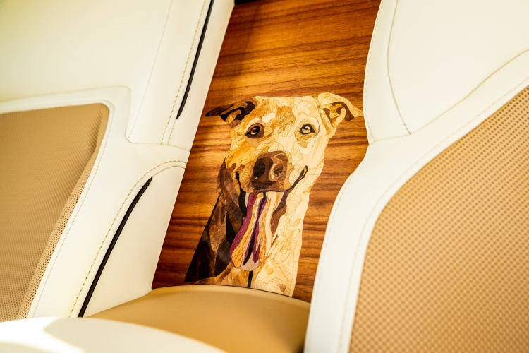 rolls-royce-spectre-bailey-radosni-omaz-voljenom-psu-7