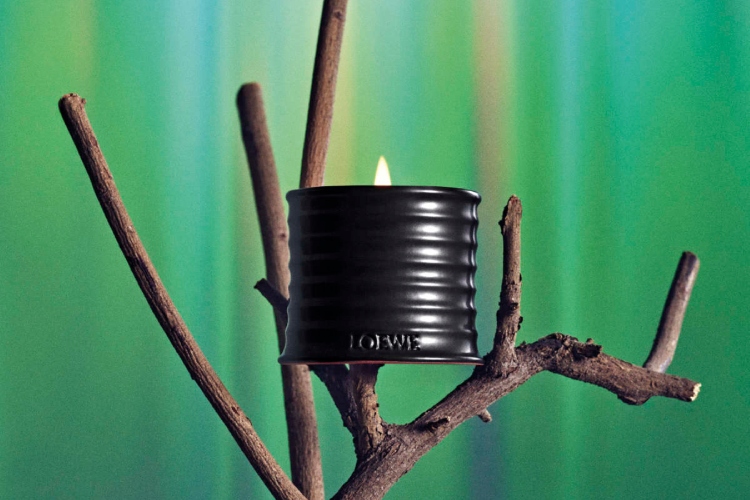loewe-predstavlja-palo-santo-mirisnu-svecu-luksuzni-ritual-sezone-1