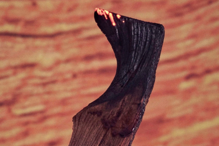 loewe-predstavlja-palo-santo-mirisnu-svecu-luksuzni-ritual-sezone-9