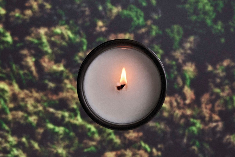 loewe-predstavlja-palo-santo-mirisnu-svecu-luksuzni-ritual-sezone-11