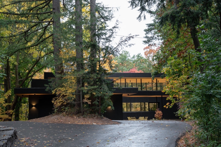 kuca-iz-snova-na-ivici-sume-orangeink-design-iz-toronta-osvaja-architizer-a-nagradu-za-ravine-house-5