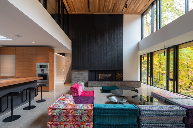 kuca-iz-snova-na-ivici-sume-orangeink-design-iz-toronta-osvaja-architizer-a-nagradu-za-ravine-house-9