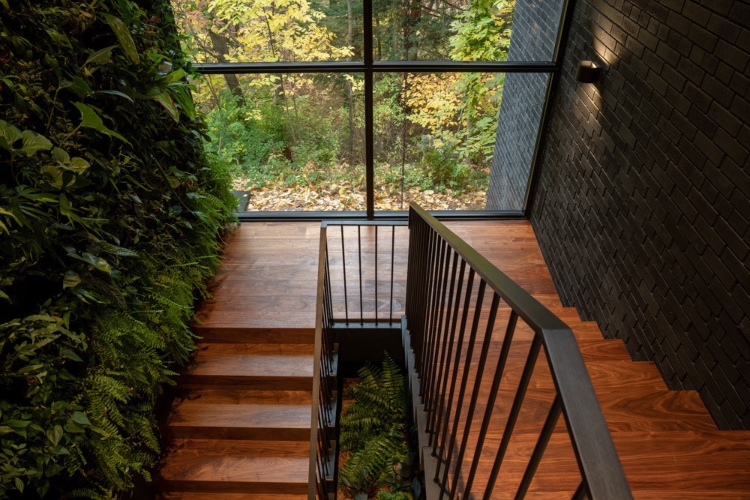 kuca-iz-snova-na-ivici-sume-orangeink-design-iz-toronta-osvaja-architizer-a-nagradu-za-ravine-house-12