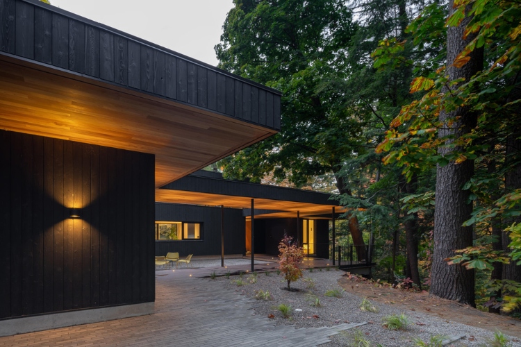 kuca-iz-snova-na-ivici-sume-orangeink-design-iz-toronta-osvaja-architizer-a-nagradu-za-ravine-house-16