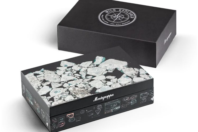 montegrappa-wild-arctic-ice-limitirano-nalivpero-super-luminova-luksuzni-instrumenti-za-pisanje-2026-4