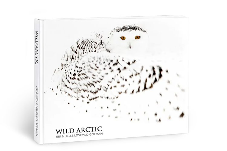 montegrappa-wild-arctic-ice-limitirano-nalivpero-super-luminova-luksuzni-instrumenti-za-pisanje-2026-5