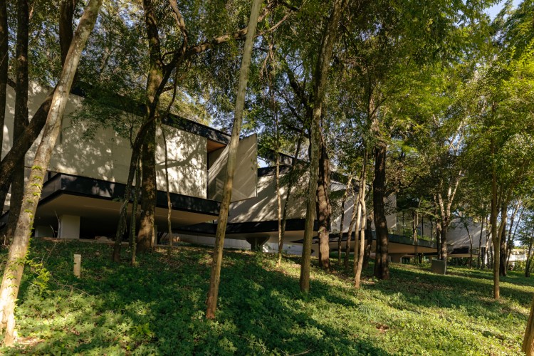 moderna-kuca-okruzena-drvecem-lagoa-santa-brazil-7