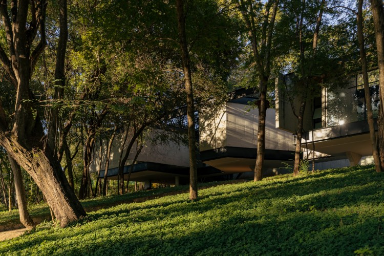 moderna-kuca-okruzena-drvecem-lagoa-santa-brazil-1