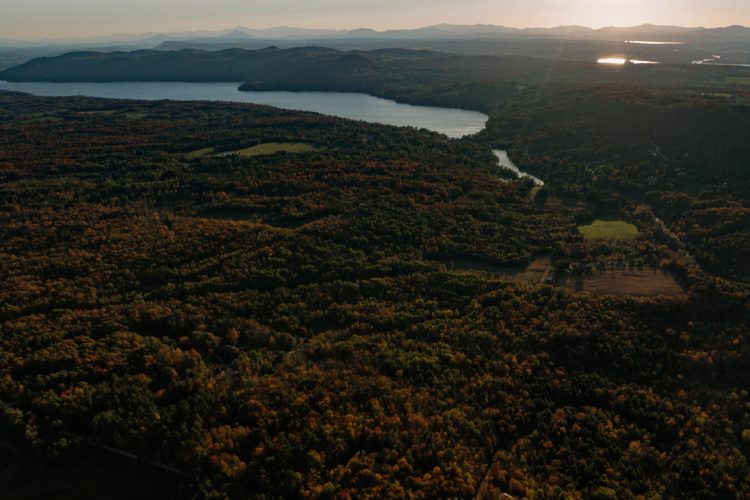 perchee-kuca-koja-lebdi-iznad-sume-i-redefinise-odrzivu-arhitekturu-u-kanadi-2