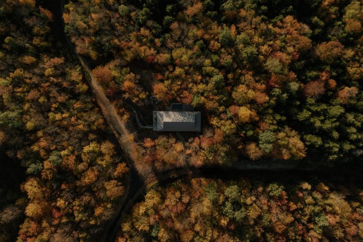 perchee-kuca-koja-lebdi-iznad-sume-i-redefinise-odrzivu-arhitekturu-u-kanadi-1