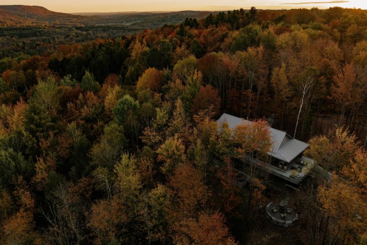 perchee-kuca-koja-lebdi-iznad-sume-i-redefinise-odrzivu-arhitekturu-u-kanadi-4