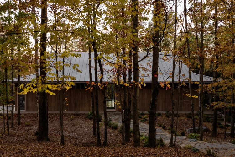 perchee-kuca-koja-lebdi-iznad-sume-i-redefinise-odrzivu-arhitekturu-u-kanadi-5