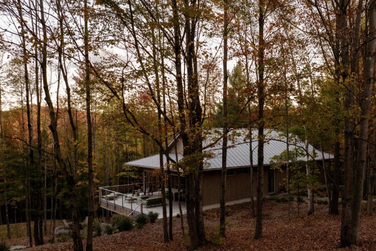 perchee-kuca-koja-lebdi-iznad-sume-i-redefinise-odrzivu-arhitekturu-u-kanadi-6