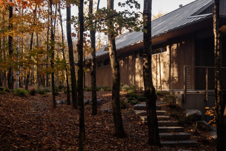 perchee-kuca-koja-lebdi-iznad-sume-i-redefinise-odrzivu-arhitekturu-u-kanadi-9