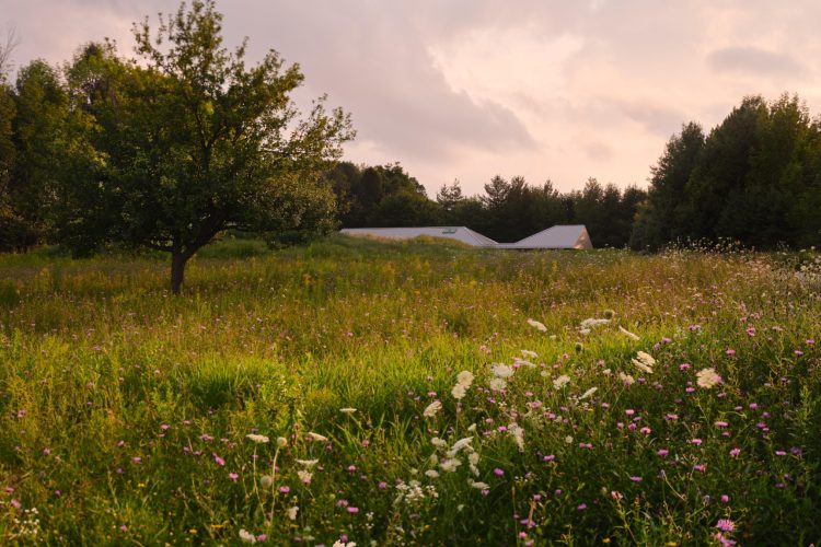 ridge-house-arhitektura-koja-se-povlaci-pred-pejzazom-1