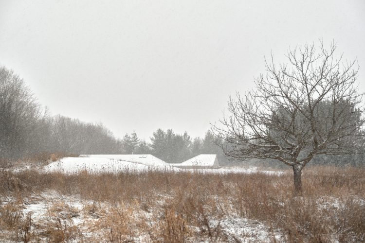 ridge-house-arhitektura-koja-se-povlaci-pred-pejzazom-4