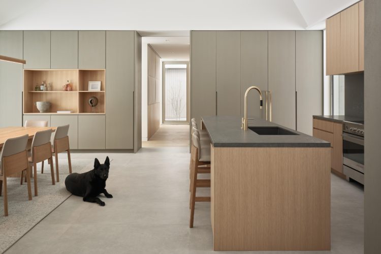 ridge-house-arhitektura-koja-se-povlaci-pred-pejzazom-11