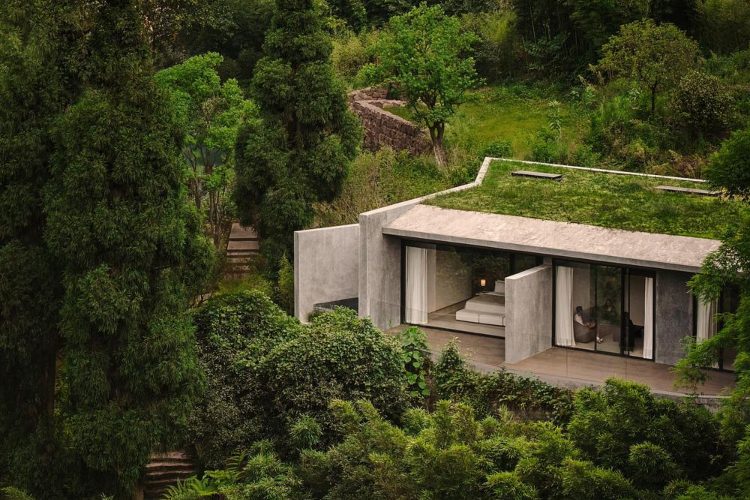 zoland-emei-resort-kina-studio-j-bridgland-luksuzni-planinski-resort-savremena-arhitektura-2025-15