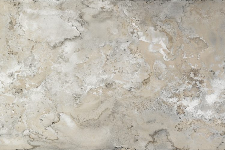 wall-pepper-2026-textural-forma-luksuzne-tapete-dizajn-enterijera-panoramske-tapete-13