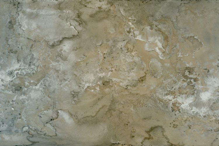 wall-pepper-2026-textural-forma-luksuzne-tapete-dizajn-enterijera-panoramske-tapete-14
