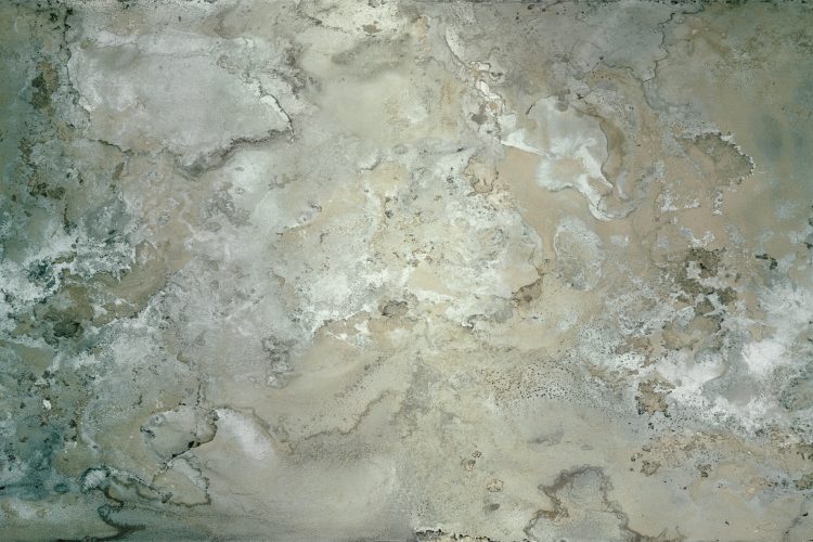 wall-pepper-2026-textural-forma-luksuzne-tapete-dizajn-enterijera-panoramske-tapete-16