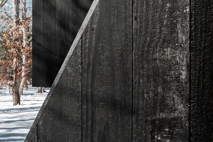 woods-retreat-be-design-east-hampton-a-frame-luksuzna-rezidencija-wellness-arhitektura-2026-2